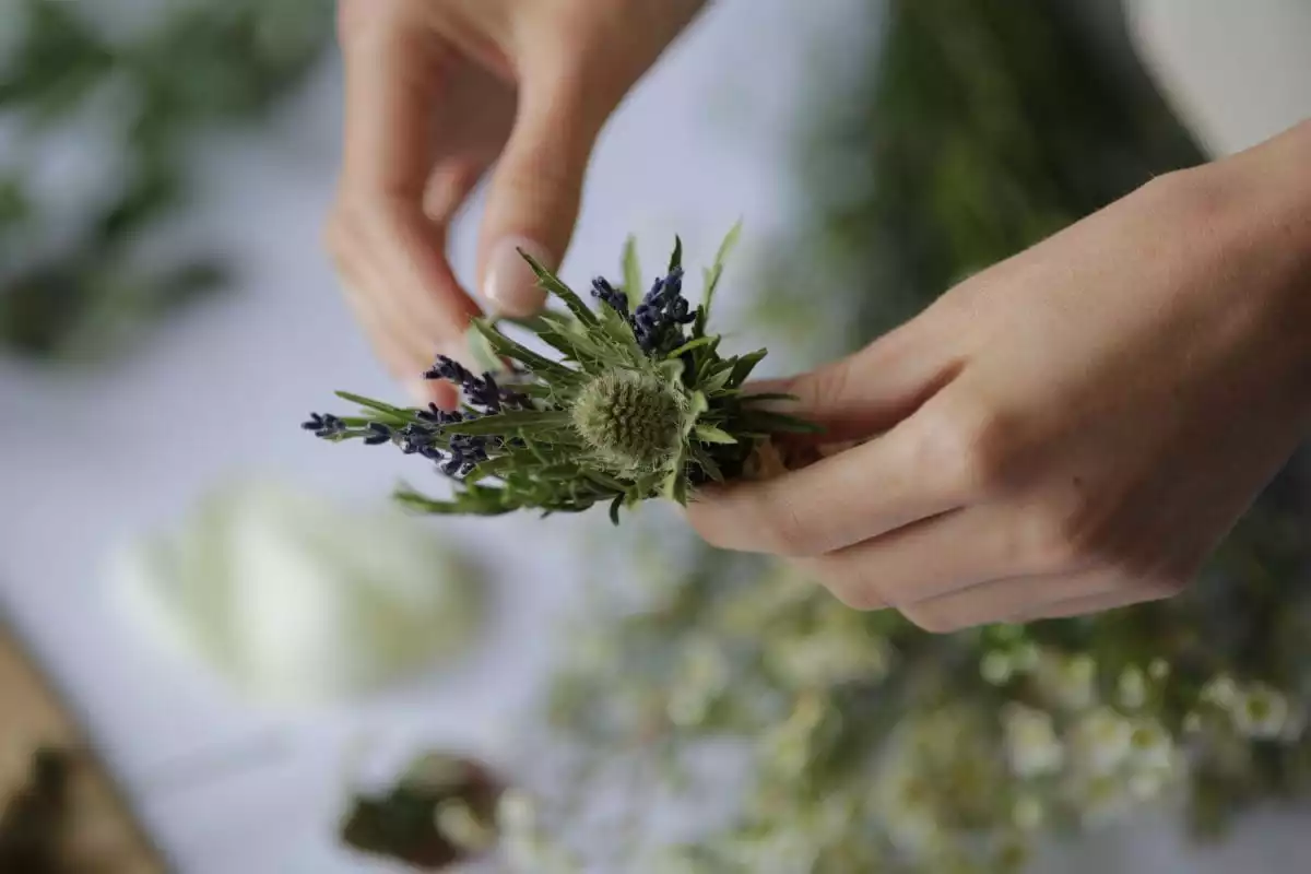 lavender and thistle florist design, runnymede on thames