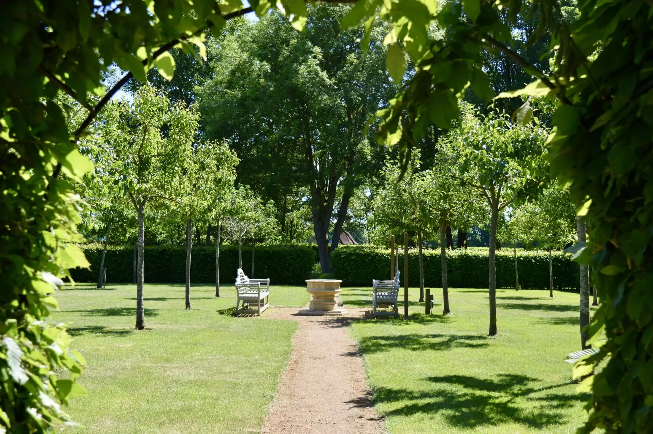 The orchard at The Runnymede on Thames