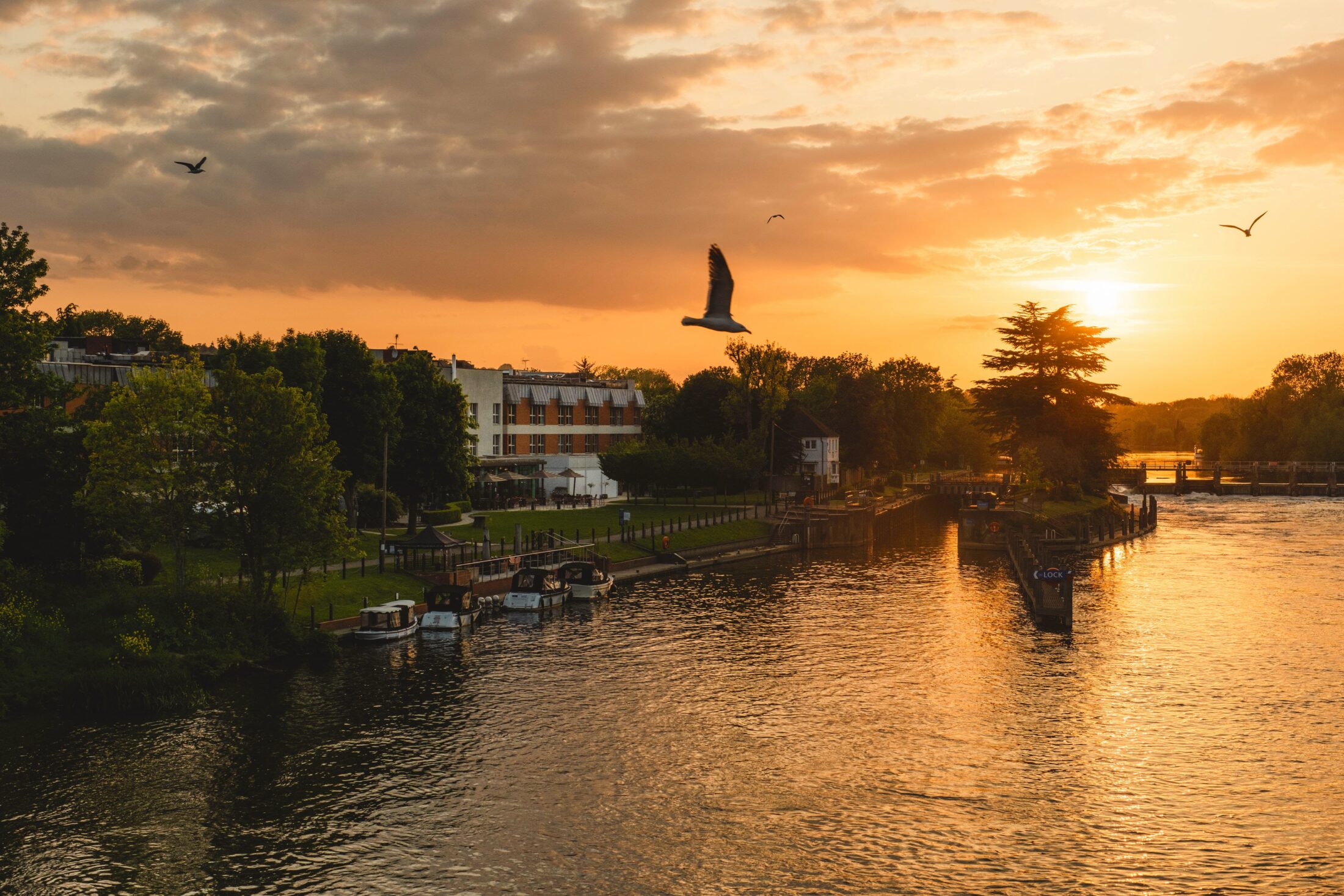 The Runnymede on Thames sunset